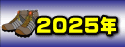 2025年